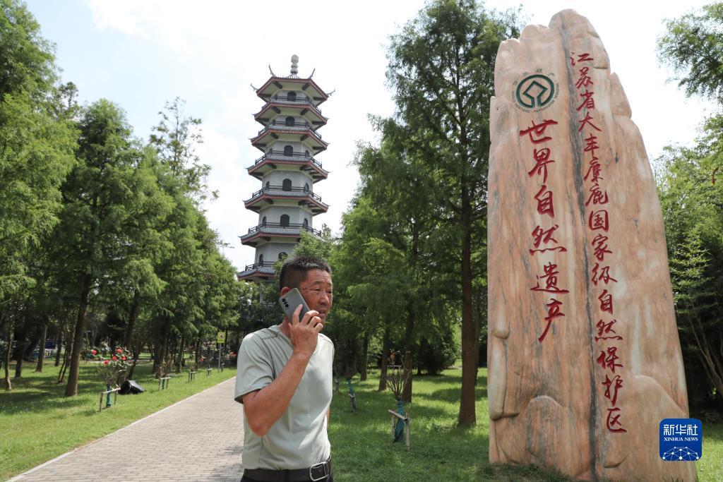 金沙梯子游戏网站